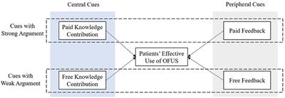 Consulting doctors online after offline treatment: investigating the effects of online information on patients' effective use of online follow-up services